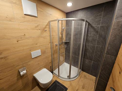 a bathroom with a shower and a toilet at Haus Enzian Apartments in Kartitsch