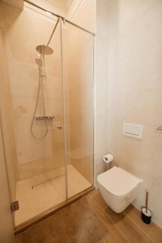 a bathroom with a shower and a toilet in it at Villa Botar in Cluj-Napoca
