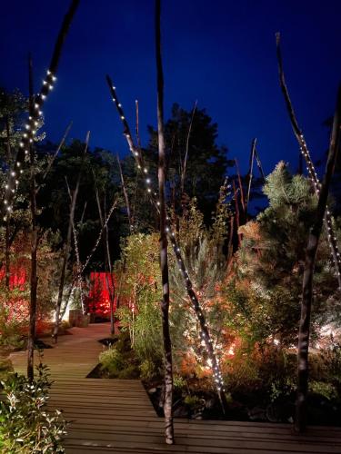 - un jardin avec des lumières de Noël la nuit dans l'établissement Le Motu Loire, à Chaumont-sur-Loire
