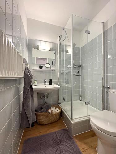 a bathroom with a shower and a sink and a toilet at Kleine BergZeit in Sankt Andreasberg
