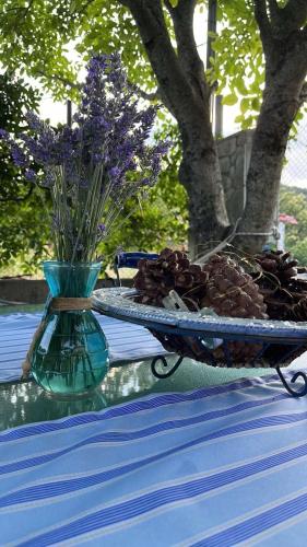 Jardín al aire libre en Ιξός Home