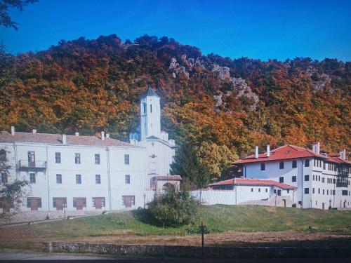 Příroda nedaleko apartmánu