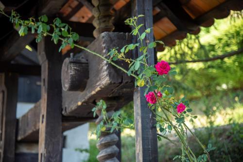 a bunch of pink flowers on a wooden post at Martin's Family Cottage with Hot Tub & Views in Šmarje pri Jelšah