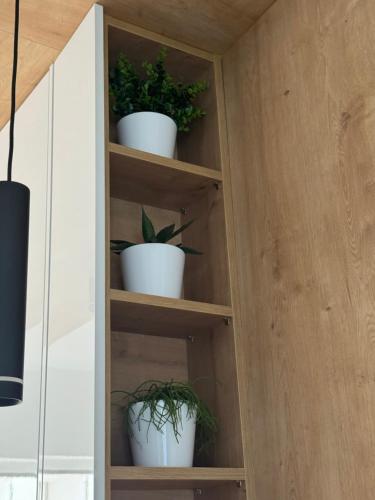 a cabinet with four potted plants in it at été 1 in Kardamaina