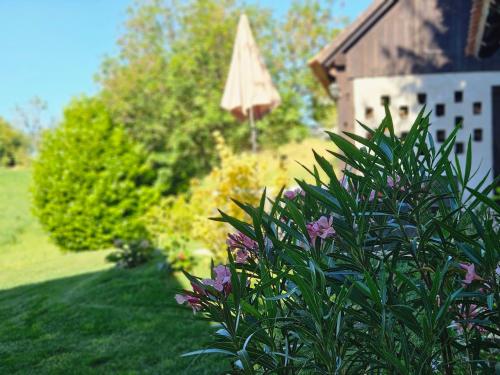 a bush with purple flowers in front of a house at Martin's Family Cottage with Hot Tub & Views in Šmarje pri Jelšah