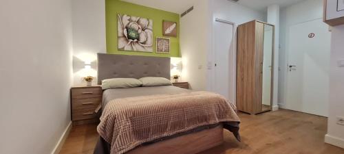 ein Schlafzimmer mit einem Bett und einem Gemälde an der Wand in der Unterkunft Suits recién reformadas Marqués de Vadillo in Madrid
