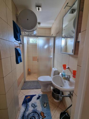 a bathroom with a shower and a toilet and a sink at Pylimo 59 in Šventoji