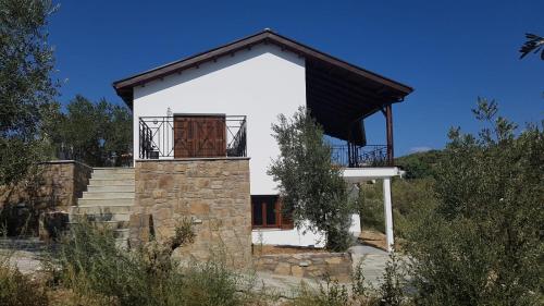 Sea view Goldins house