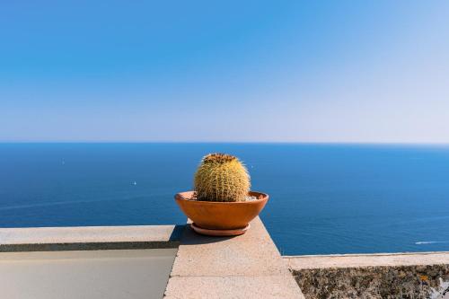 a cactus in a pot sitting on a wall near the ocean at Smeraldo Holiday House in Conca dei Marini