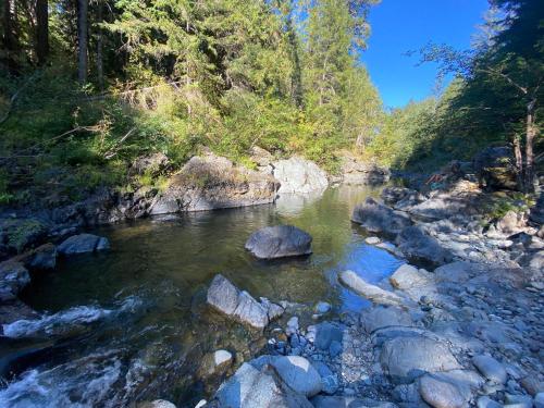 Gallery image of Tree Top Sanctuary Cowichan Valley in Duncan