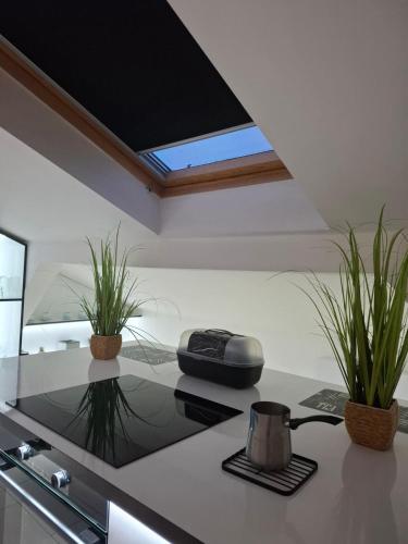 a kitchen with a stove with plants on the counter at Mansarda Apartman Diva in Prijedor