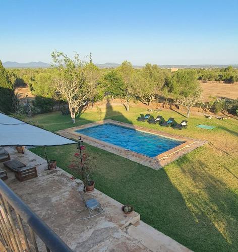 an overhead view of a swimming pool in a yard at SON FRED CAMPOS in Campos