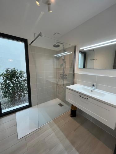 a bathroom with a sink and a shower and a mirror at Villa U Sanda in Lecci