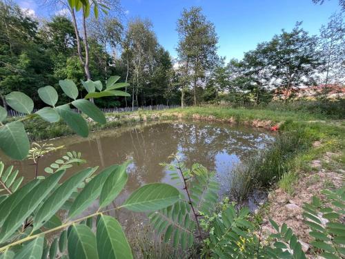 Afbeelding uit fotogalerij van Pensiunea Casa Domnitei in Baia de Fier