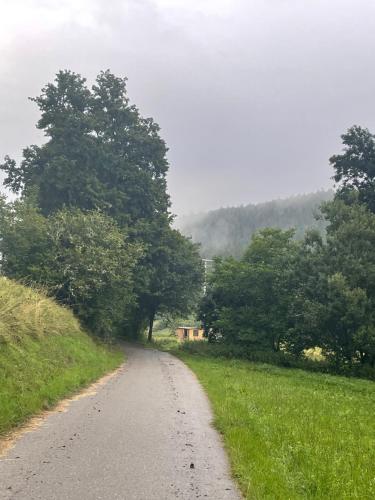 a dirt road with trees on the side of a field at NatureStay in Straßberg