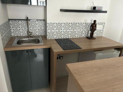 Una pequeña cocina con fregadero y encimera. en Cosy nest in historic Montmartre district, en París