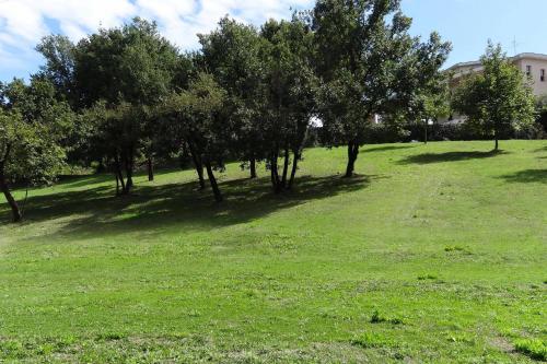 a grassy field with trees in a park at Livingapple in Scauri