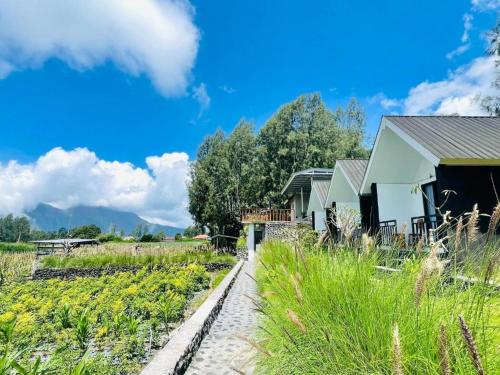 a farm with a building and a field of crops at The Iris Volcano in Kubupenlokan