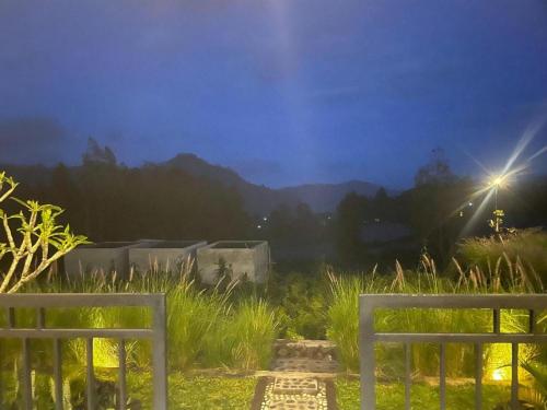 two white benches in a field at night at The Iris Volcano in Kubupenlokan