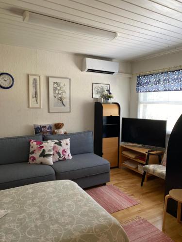 a living room with a couch and a tv at Koti Kiviniemi in Pori