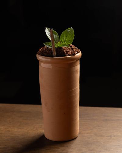 a plant in a brown cup on a table at Locanda Expanificio in Agrigento