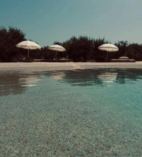 two umbrellas sitting on a beach next to the water at Domaine FINCA LESSYA, Lodge insolite & SPA in Mauguio