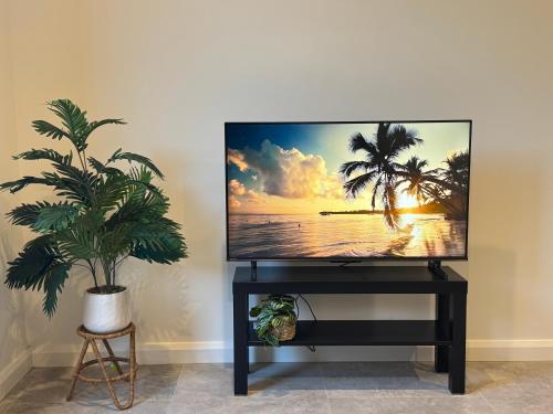 a flat screen tv on a stand with a palm tree at Luxe 2B2B Stay Walk to Sunnybank market square in Brisbane