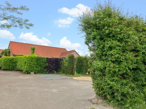 a large green bush in front of a house at Meadow View in Hockering