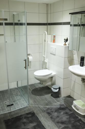 a bathroom with a toilet and a shower and a sink at Ferienwohnung am Herzplatz 2 in Memmelsdorf