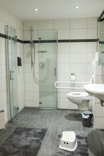 a bathroom with a shower and a toilet and a sink at Ferienwohnung am Herzplatz 2 in Memmelsdorf