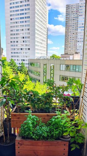 Sunny & stylish 2-bedroom in Viet-Namese district