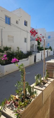 a planter with flowers and plants in front of a building at Samy's Luxury Apartments in Hammamet