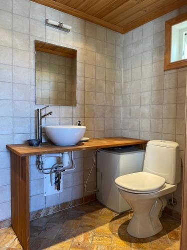a bathroom with a toilet and a sink at Villa Krågenes in Farsund