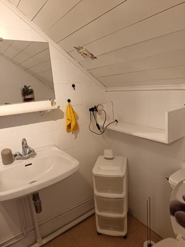 a bathroom with a sink and a mirror and a toilet at Gite le Buron in La Bourboule