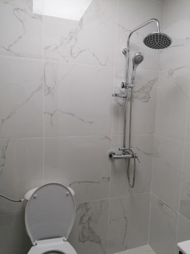 a bathroom with a shower with a toilet at гест хаус паркова 33 in Razgrad
