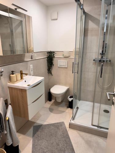 Bilik mandi di Main Moment Altstadt Apartment