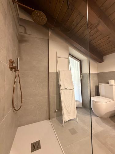 a bathroom with a shower and a toilet at Splendido Alloggio con Giardino vista Monte Bianco in Courmayeur