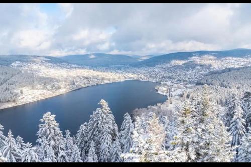 une vue aérienne sur un lac dans la neige dans l'établissement Spacious apartment in the heart of Gerardmer !!!, à Gérardmer