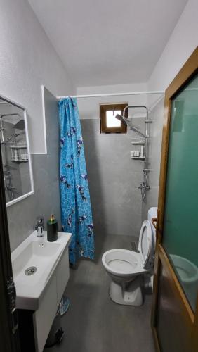 a bathroom with a white toilet and a sink at Dragobia House & Table in Dragobi