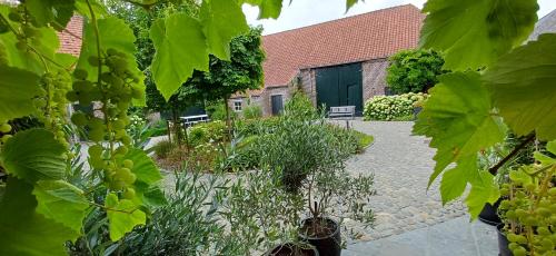Zahrada ubytování Hermelgemhoeve - Zonnebloem