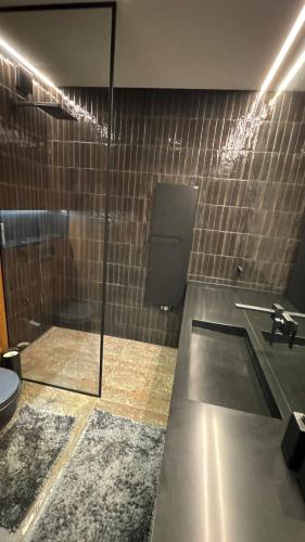 Ziogu Apartments في بالانغا: حمام مع دش ومرحاض ومغسلة