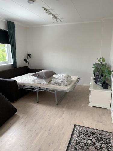 a living room with a bed and a couch at Mysiga lägenheten Borlänge City in Borlänge
