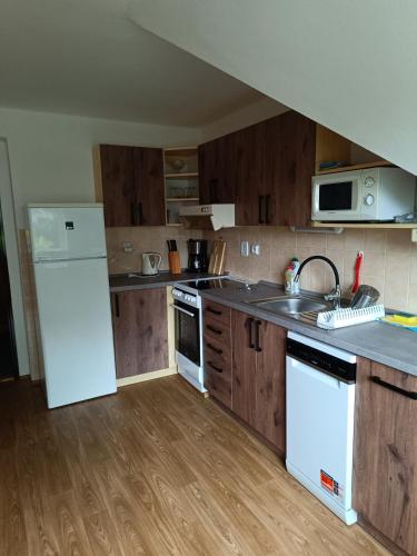 a kitchen with a white refrigerator and wooden cabinets at Ubytování Mirka in Vítkovice