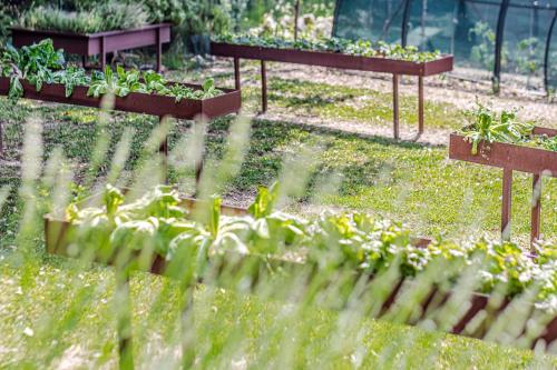 a garden with several raised beds with plants at Villa Bolgheri in Montecatini Val di Cecina