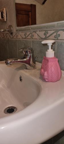 a bathroom sink with a soap dispenser on it at Elìsim House in Caiazzo