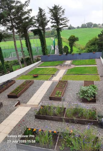 a garden with plants and trees in the background at The Rebel Yew in Killala