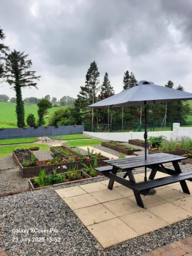a picnic table with an umbrella in a garden at The Rebel Yew in Killala