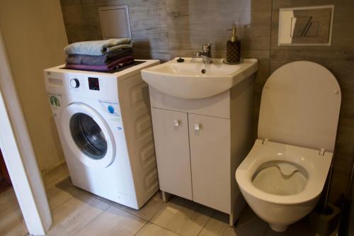 a bathroom with a toilet and a sink and a washing machine at Apartamenty blisko dworca PKP,PKS in Cieszyn