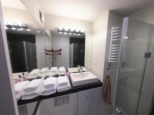 a bathroom with a sink and a mirror at Apartamenty blisko dworca PKP,PKS in Cieszyn