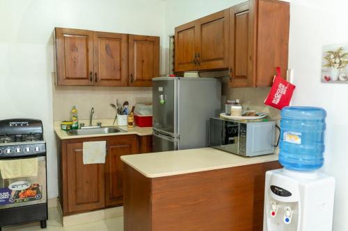 a kitchen with wooden cabinets and stainless steel appliances at Comodo apartamento en el centro de la ciudad in Santiago de los Caballeros